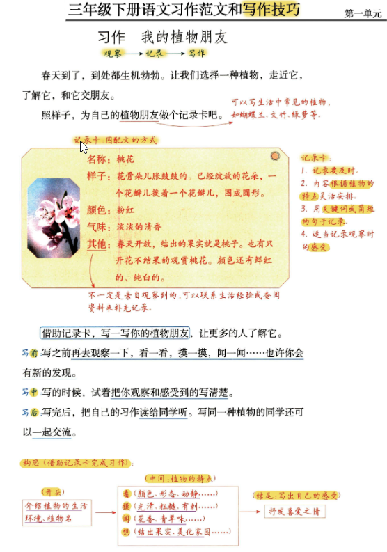 三年级 下册语文《习作范文及技巧点拨》-学库教育