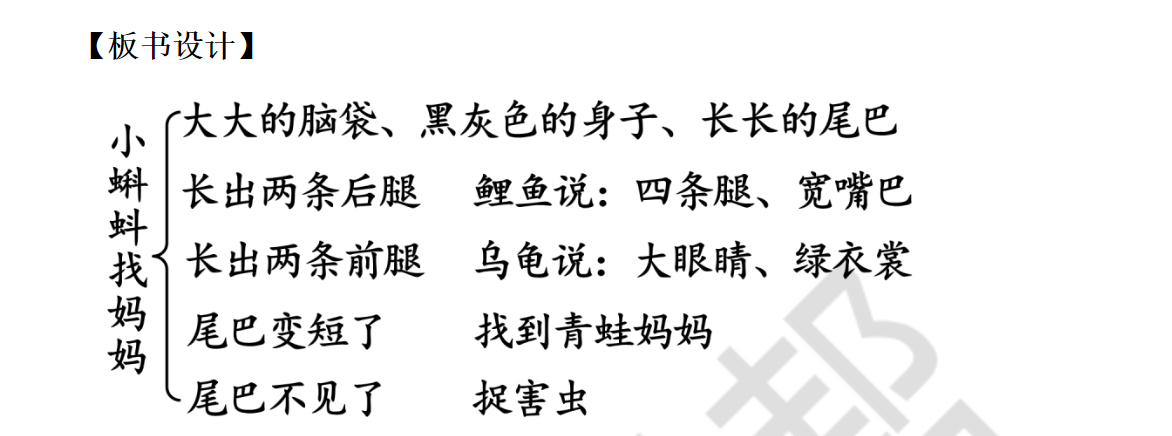 图片[14]-25秋新版二年级上册语文课件+教学设计（课改后）-985文库