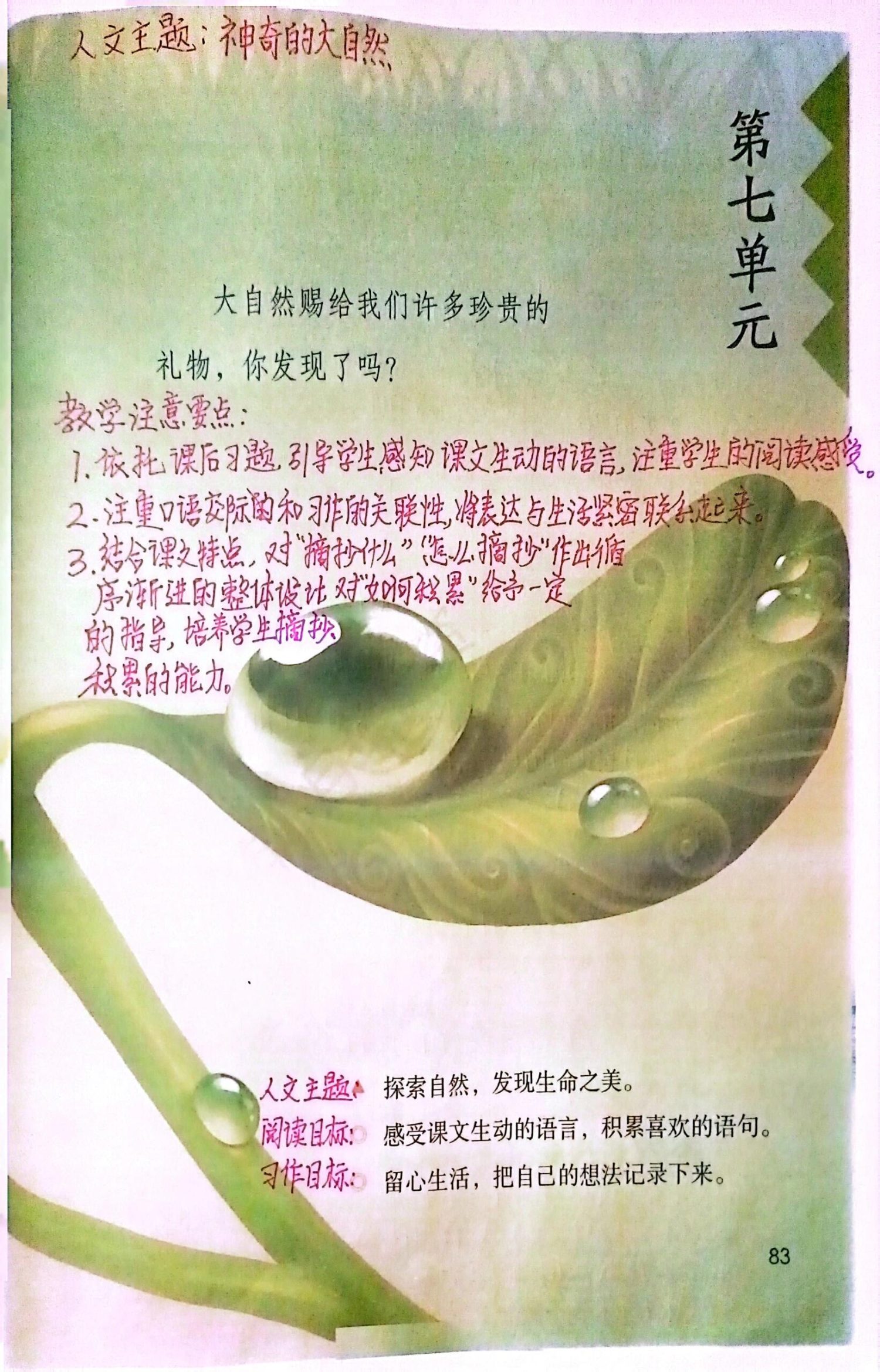 图片[13]-25秋最新版三年级上册语文全册课堂笔记（手写版）-学库教育