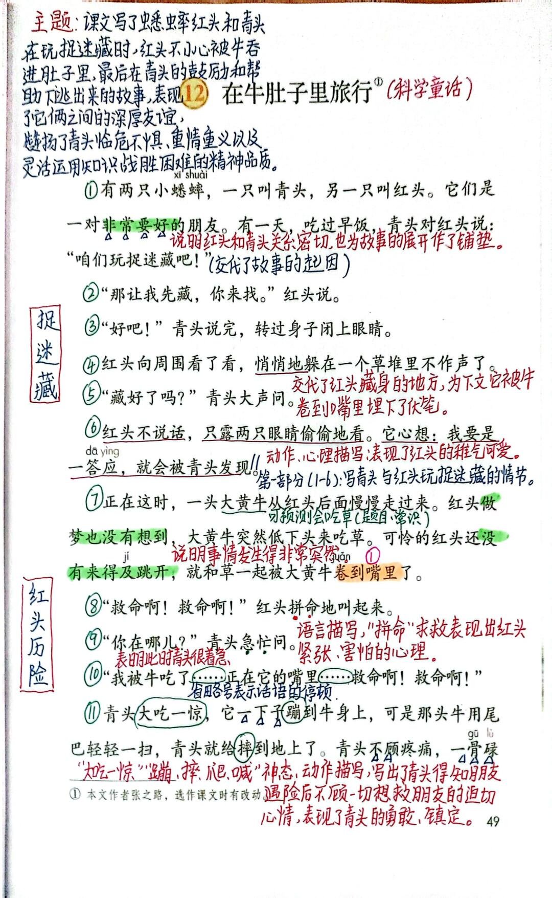 图片[11]-25秋最新版三年级上册语文全册课堂笔记（手写版）-学库教育