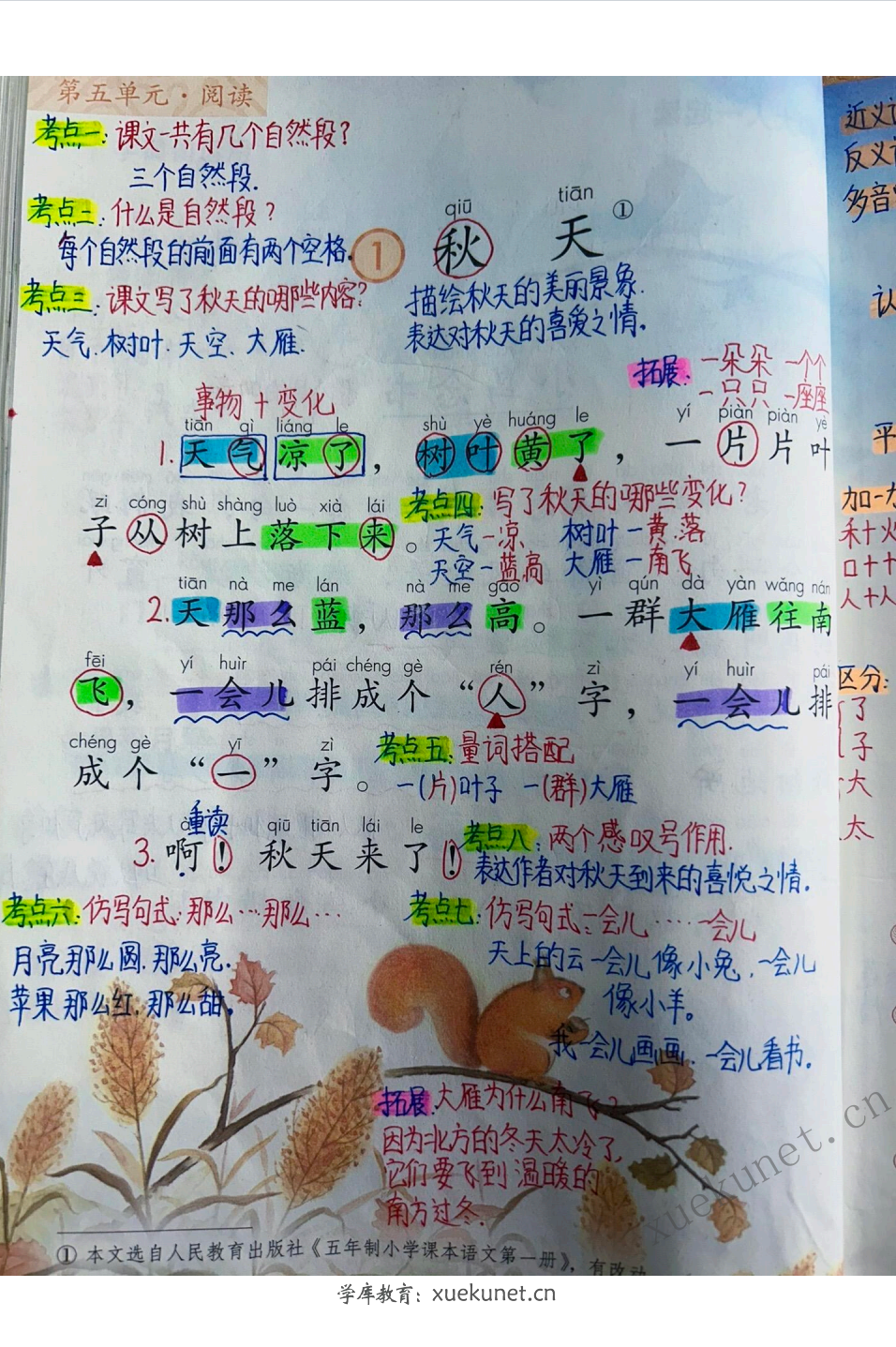 图片[3]-25秋新版一年级上册语文全册课堂笔记（114页）-学库教育