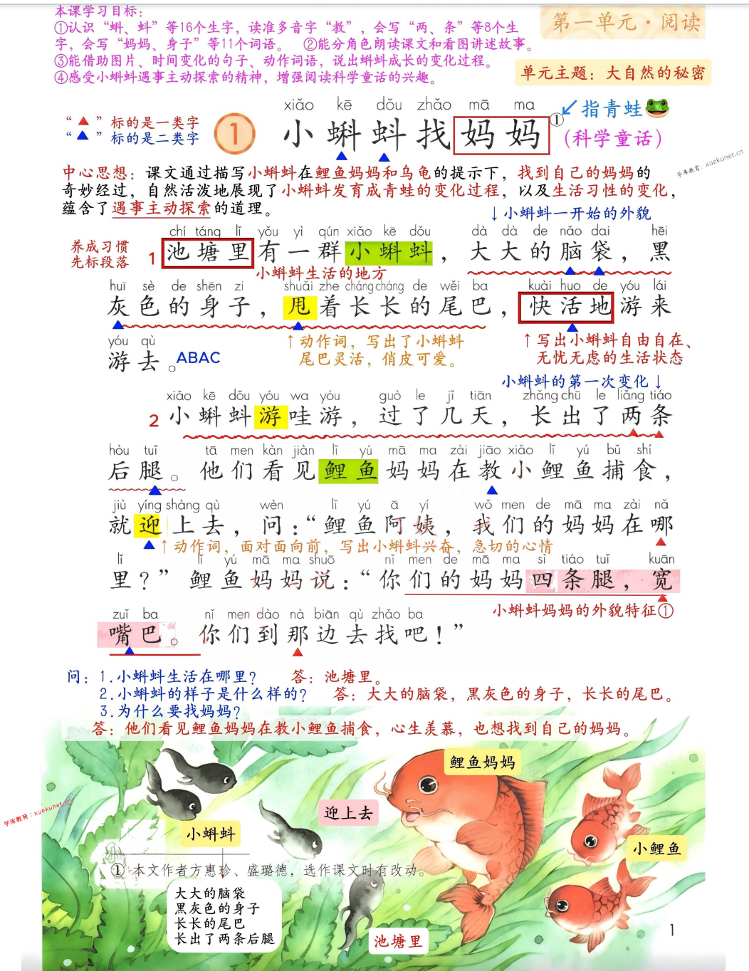 图片[2]-26新版二年级上册语文课堂笔记（电子版）-学库教育